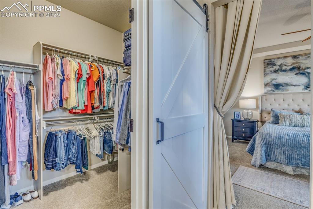 Image 31 of 50: Other