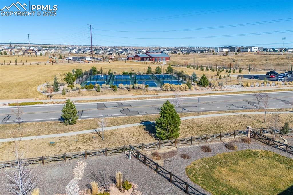 Image 45 of 50: Bird