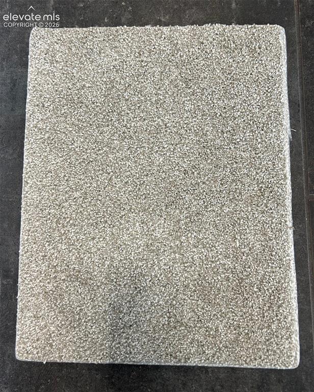Image 3 of 3: Close up of carpet selection