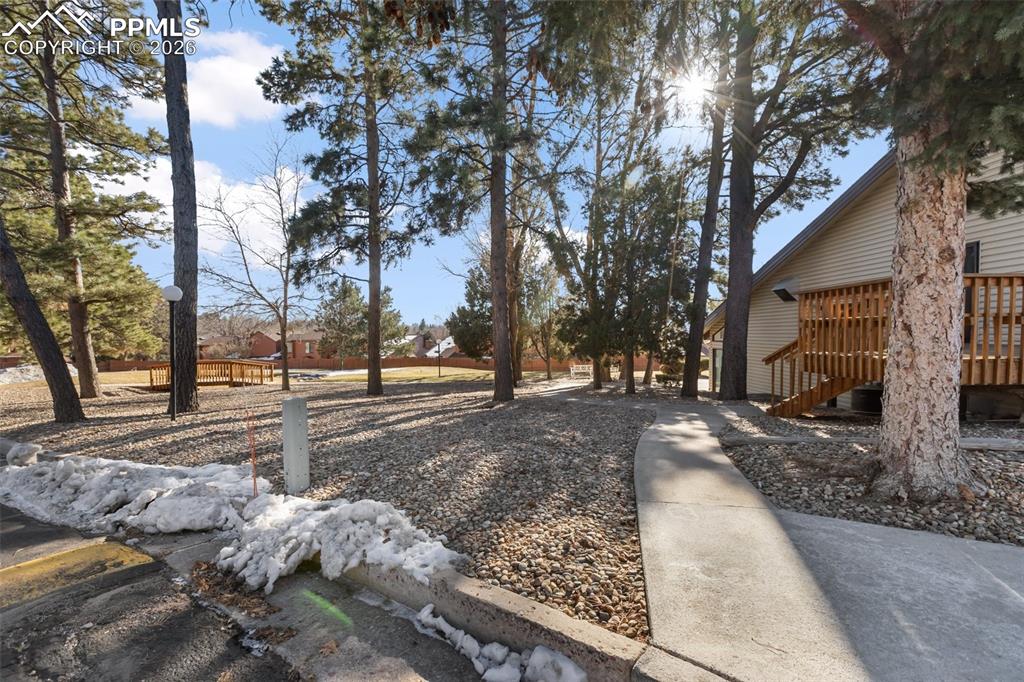 Image 38 of 41: Yard