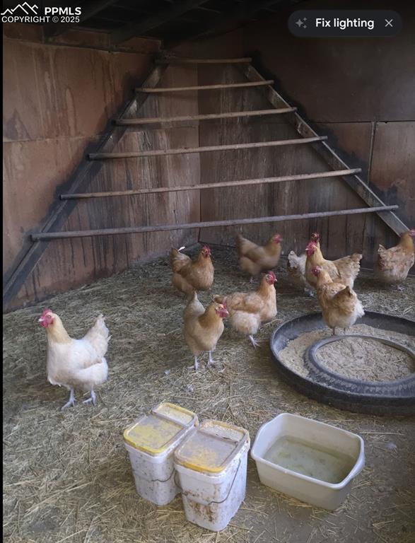 Image 11 of 50: Enclosed home for chickens. Fenced yard