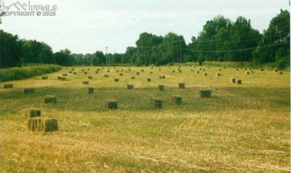 Image 14 of 50: Four fenced pastures are ready for hay production, cattle, horses, or other