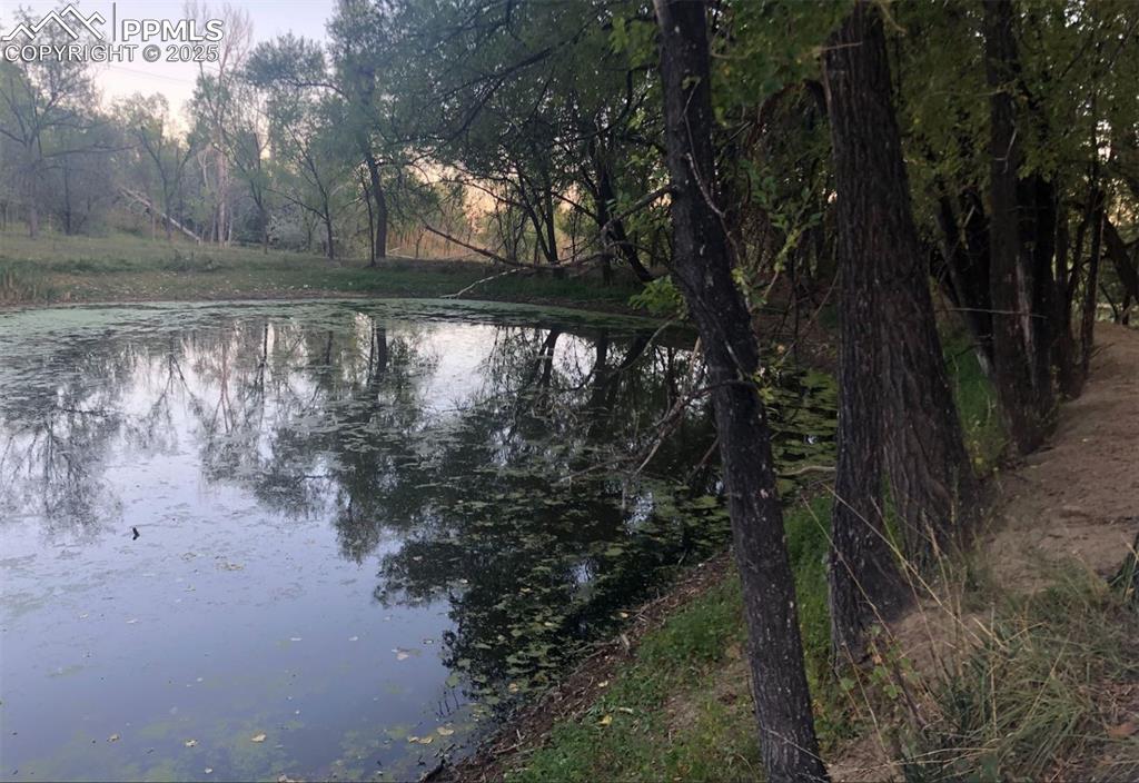 Image 19 of 50: One of the lower ponds