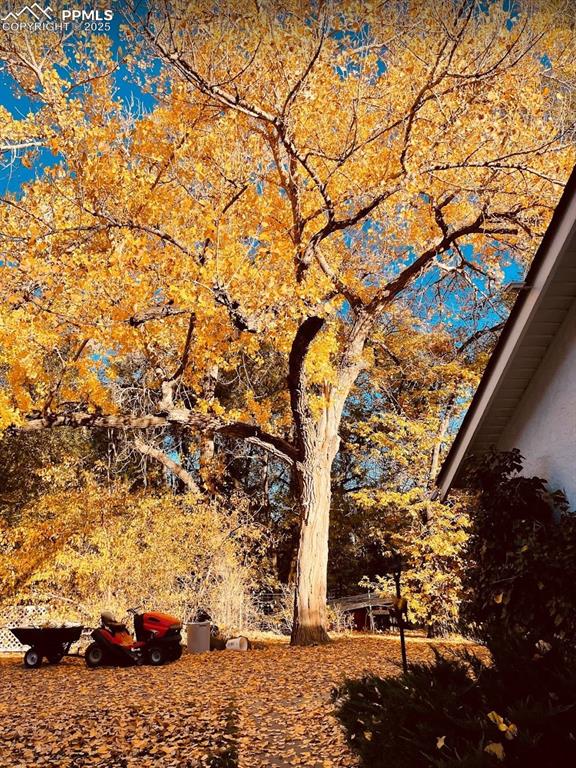Image 49 of 50: Beautiful seasons