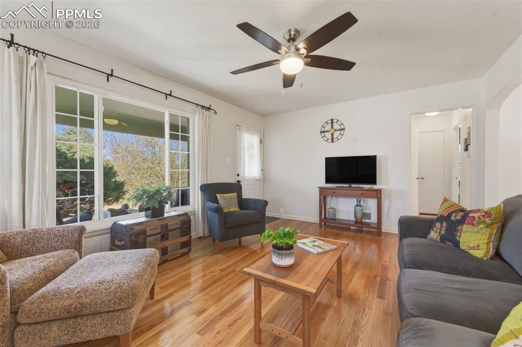 Image 14 of 50: Open And Bright