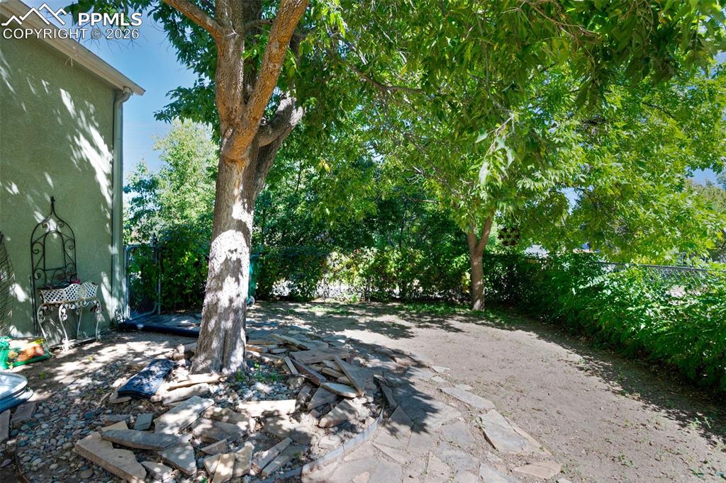 Image 37 of 50: Mature Trees