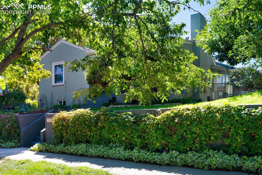 Image 49 of 50: Beautiful Vines Growing Out Front