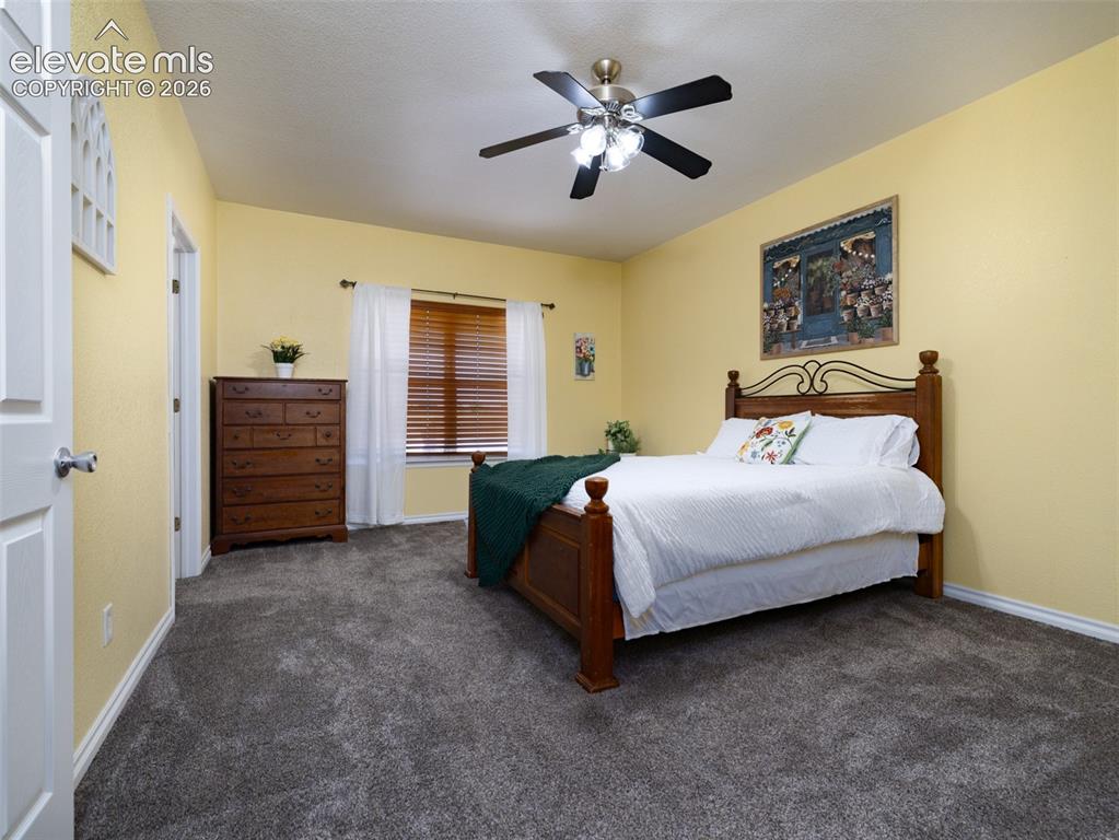 Image 48 of 49: Gray carpeting with white trim, a window with wood blinds, and a ceiling fa