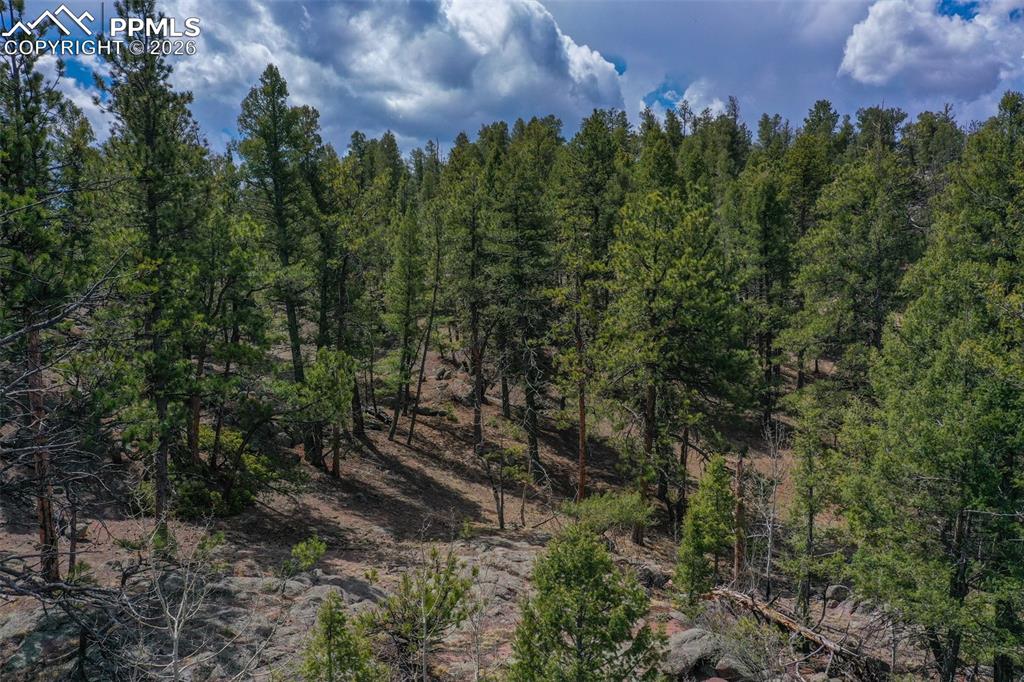 Image 13 of 40: Other