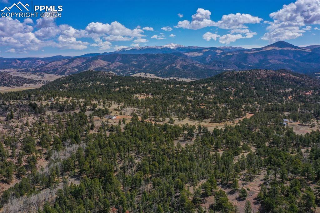 Image 14 of 40: View