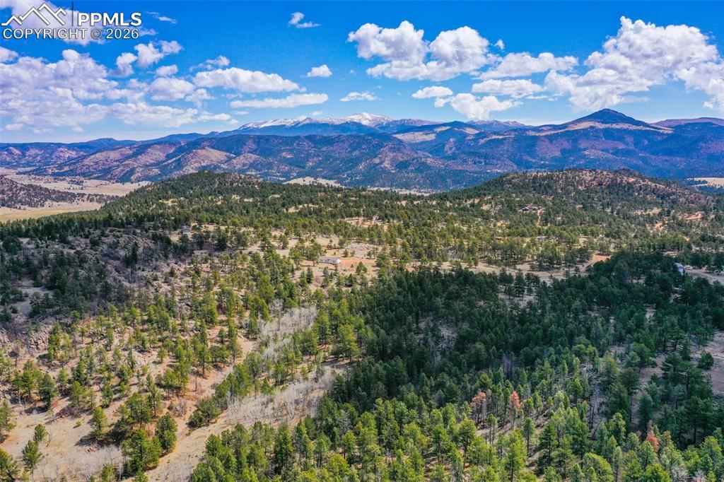 Image 21 of 40: View