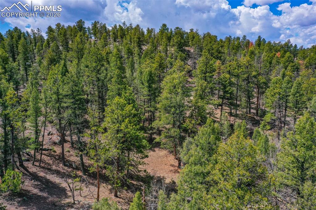 Image 28 of 40: Other