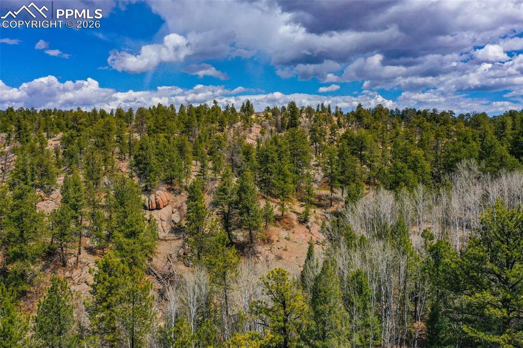 Image 31 of 40: Other