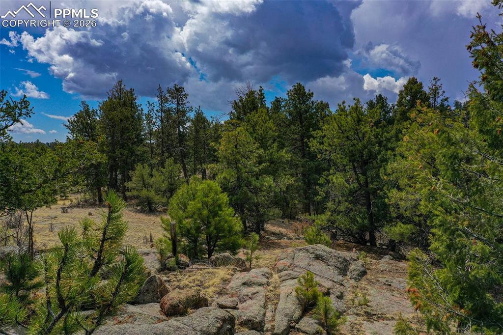 Image 33 of 40: Other