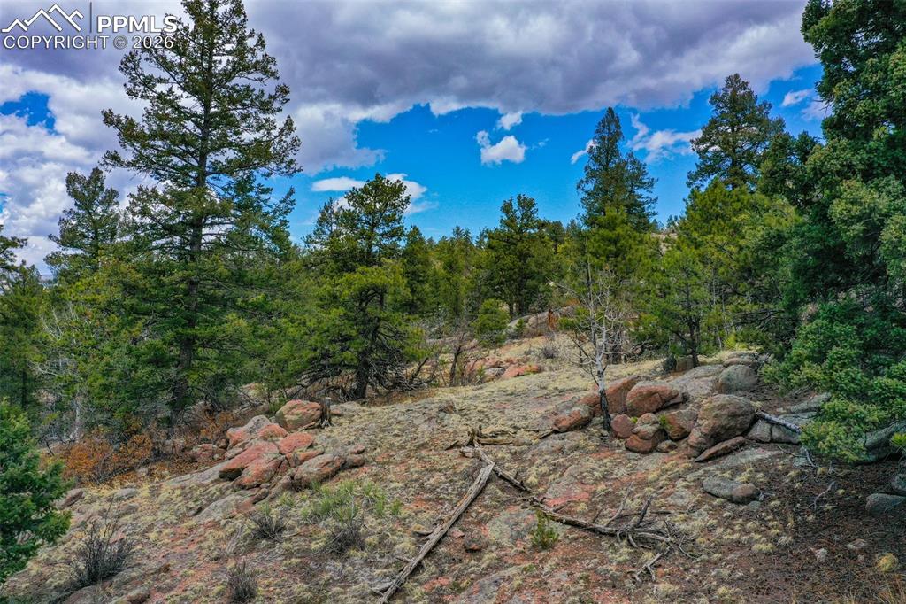 Image 34 of 40: Other