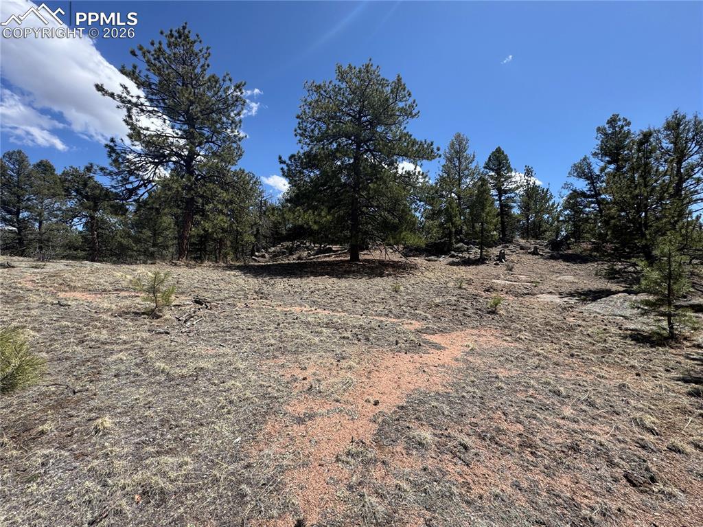 Image 38 of 40: Other