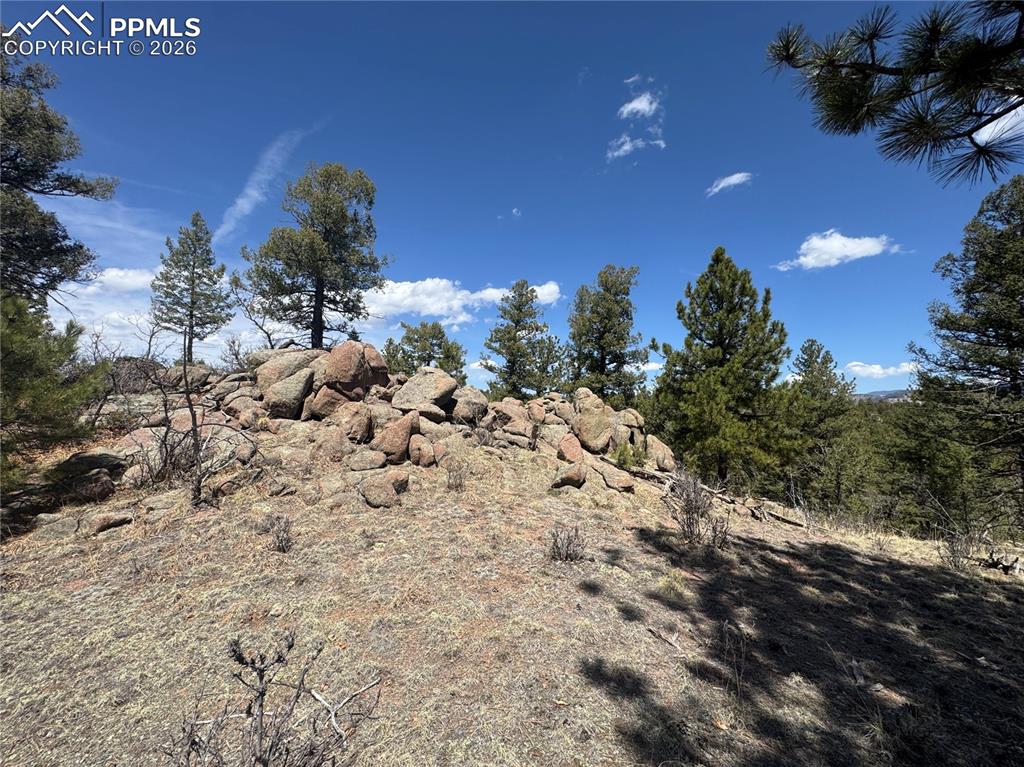 Image 39 of 40: Other