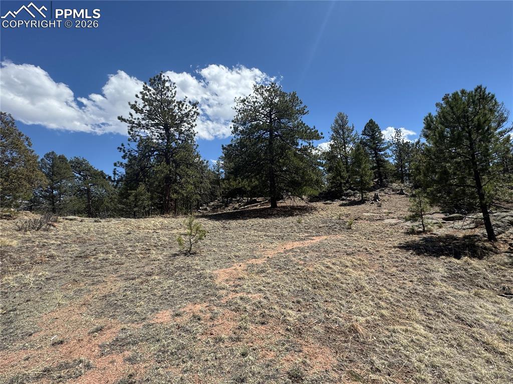 Image 4 of 40: Other