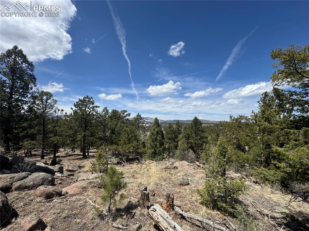 Image 5 of 40: Other