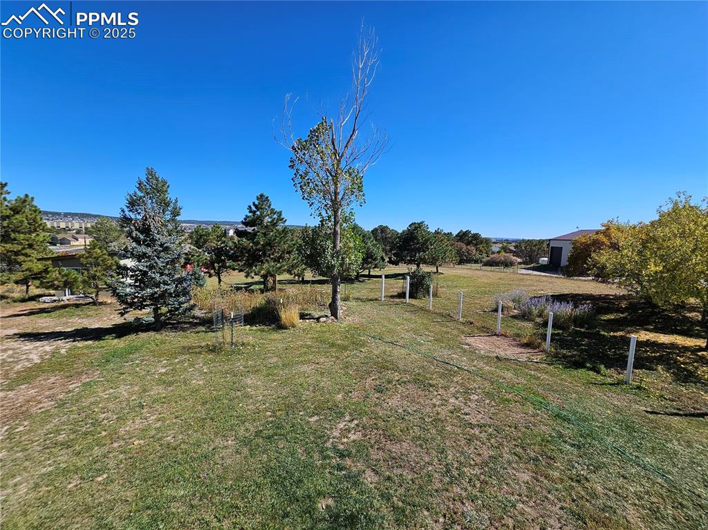 Image 26 of 44: Dog Run