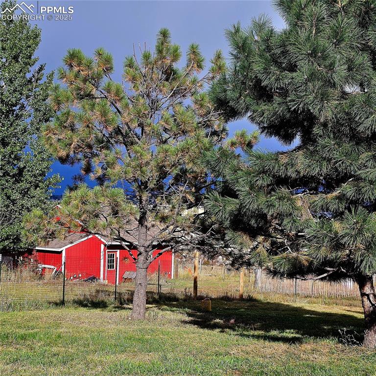 Image 27 of 44: Dog run toward barn