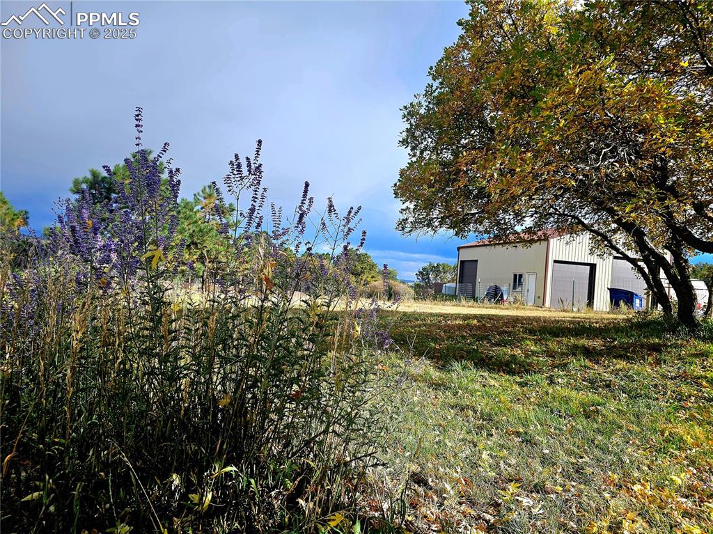 Image 32 of 44: Dog Run