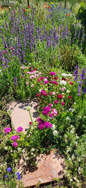 Image 33 of 44: Typical Garden photo