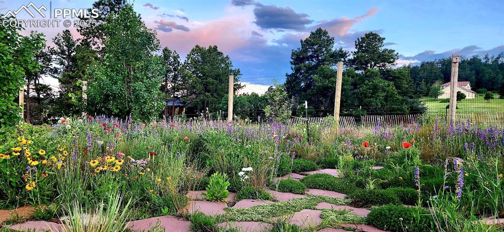Image 35 of 44: View of garden