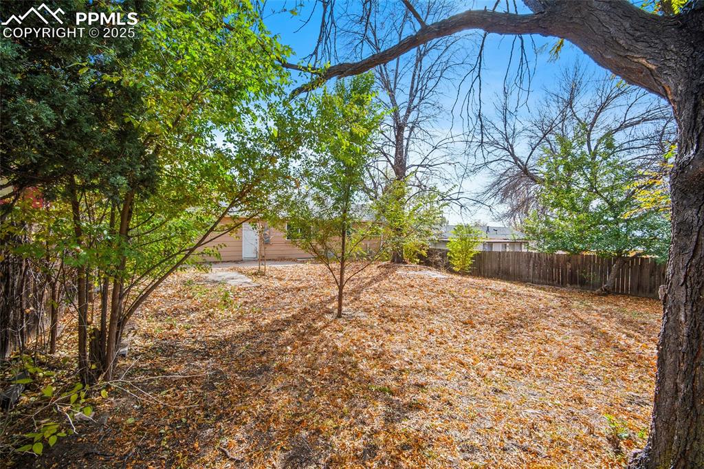 Image 24 of 29: Yard