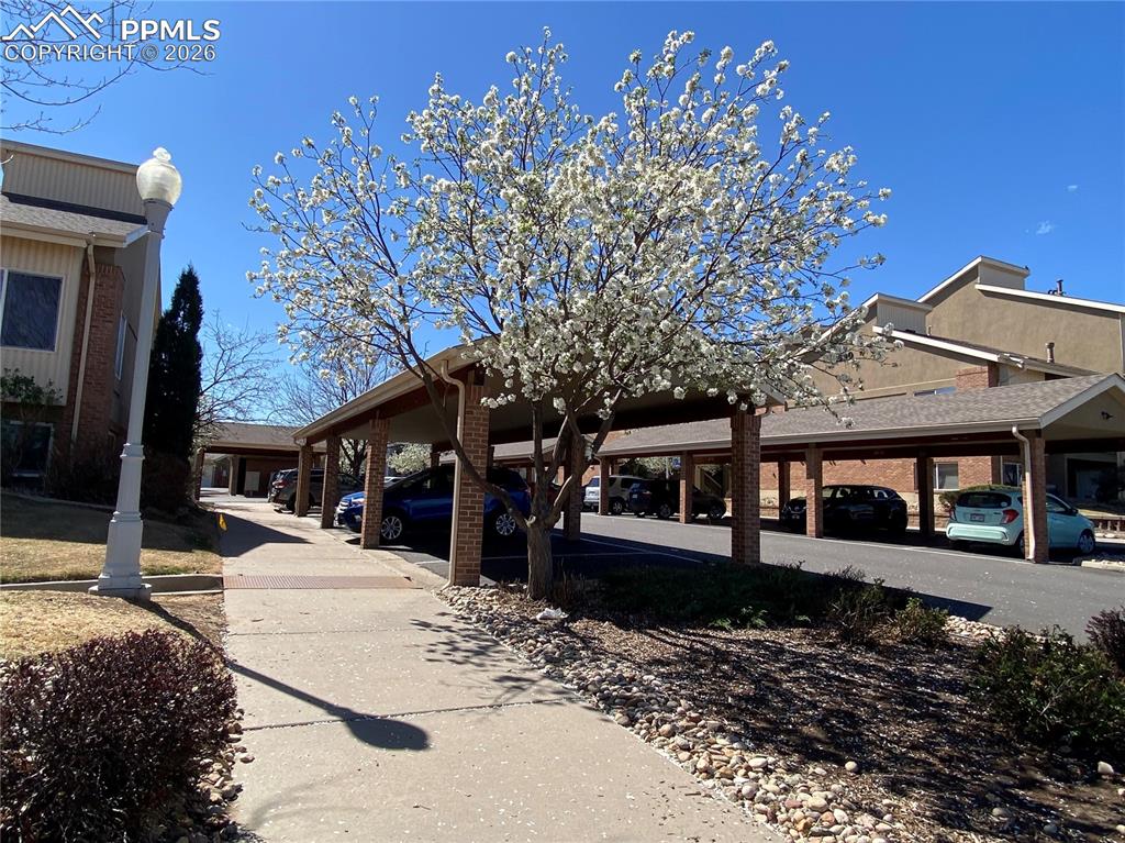 Image 3 of 21: Entry and carports (can be rented for additional fee, if available)