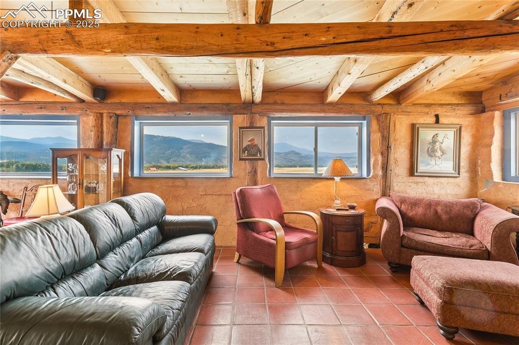 Image 11 of 50: Living area featuring tile patterned floors, plenty of natural light, a woo