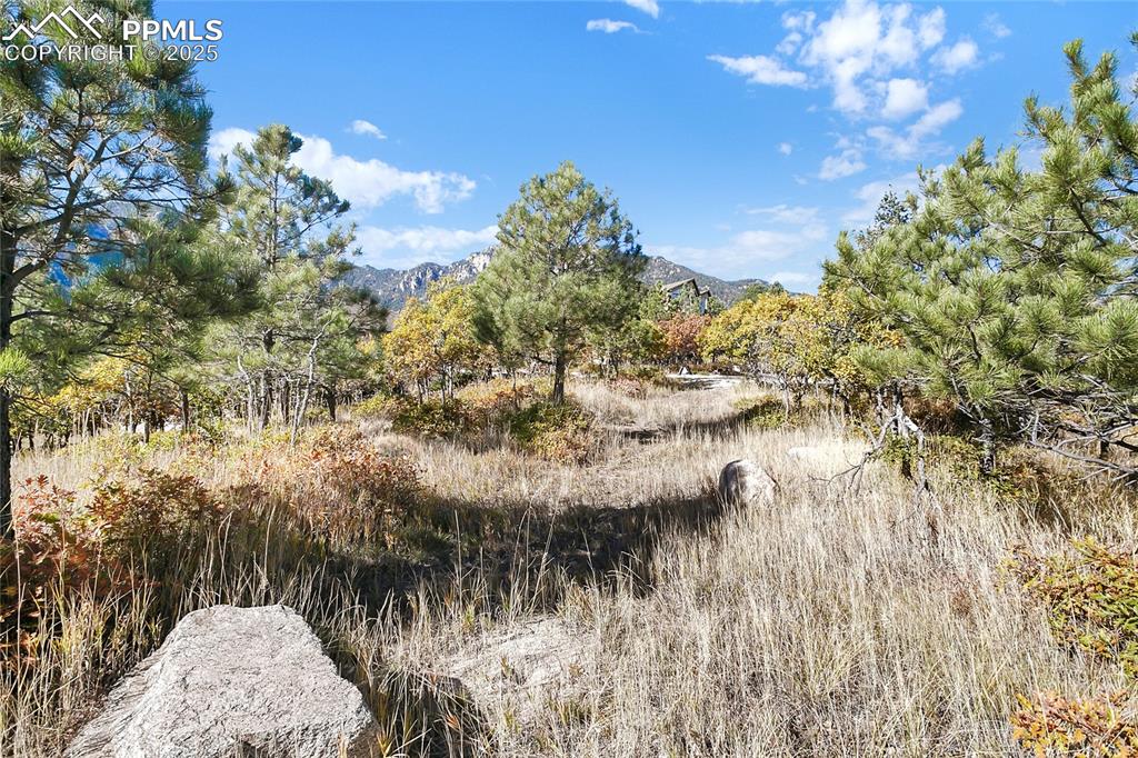 Image 5 of 10: Other