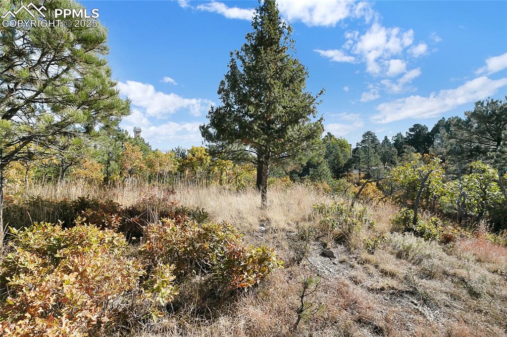 Image 6 of 10: Other