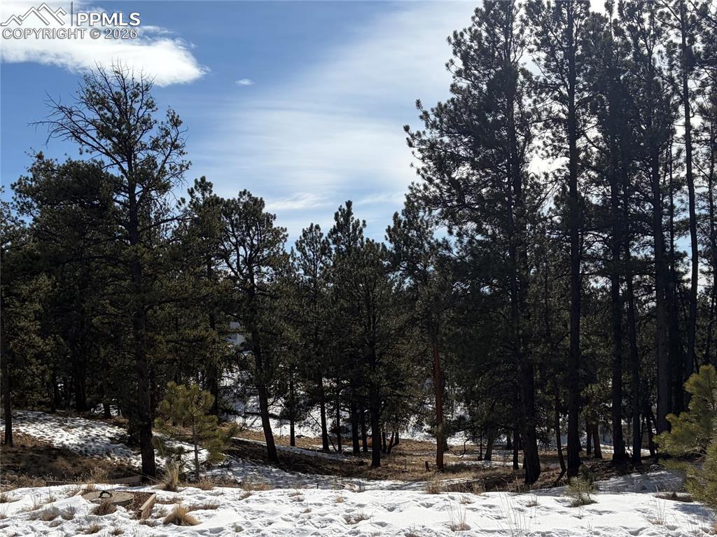 Image 10 of 20: Other