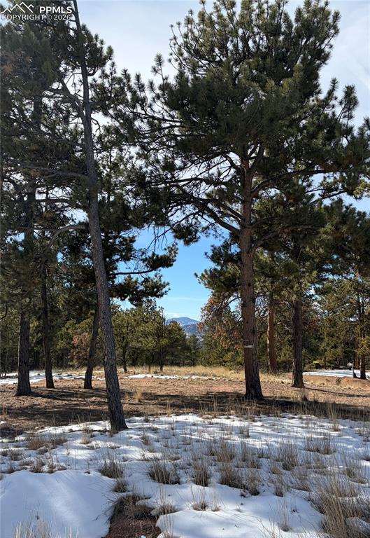 Image 11 of 20: Other