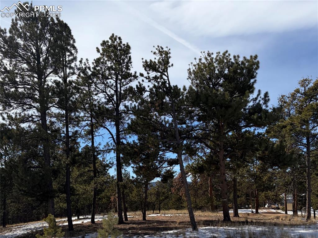 Image 12 of 20: Other