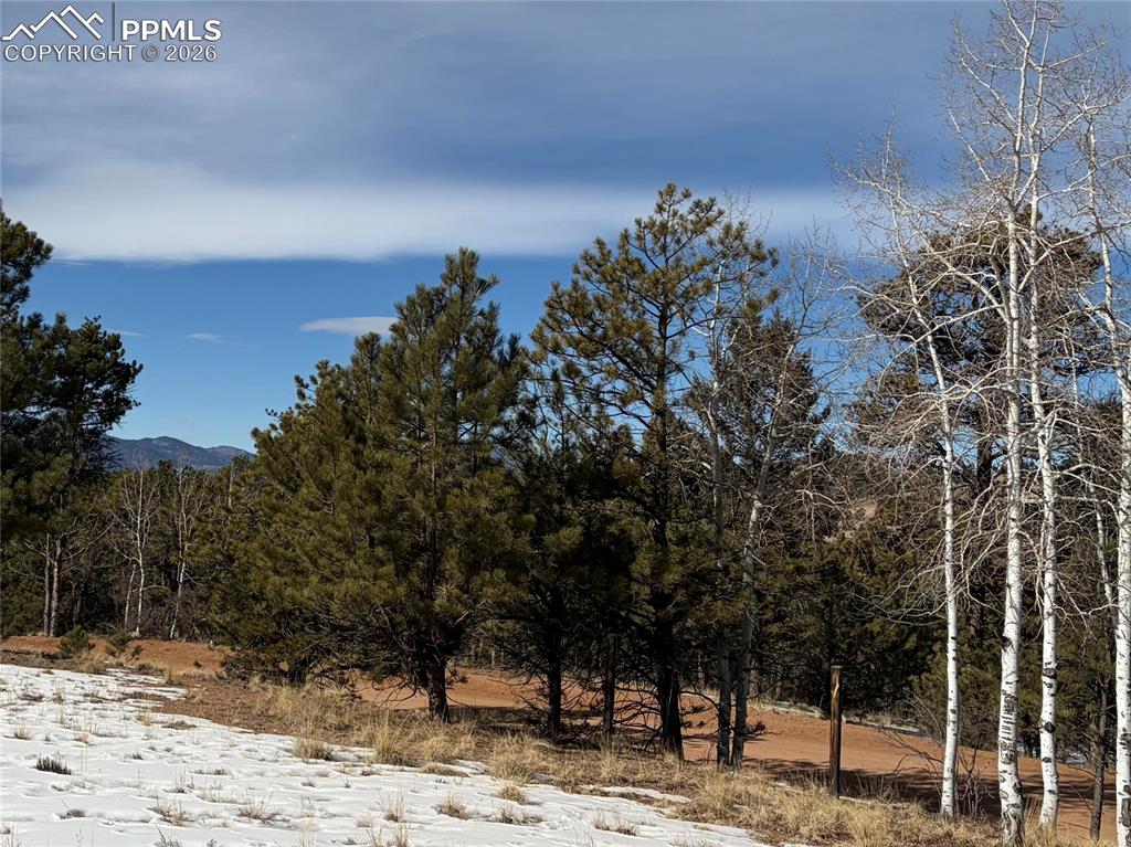 Image 13 of 20: Other