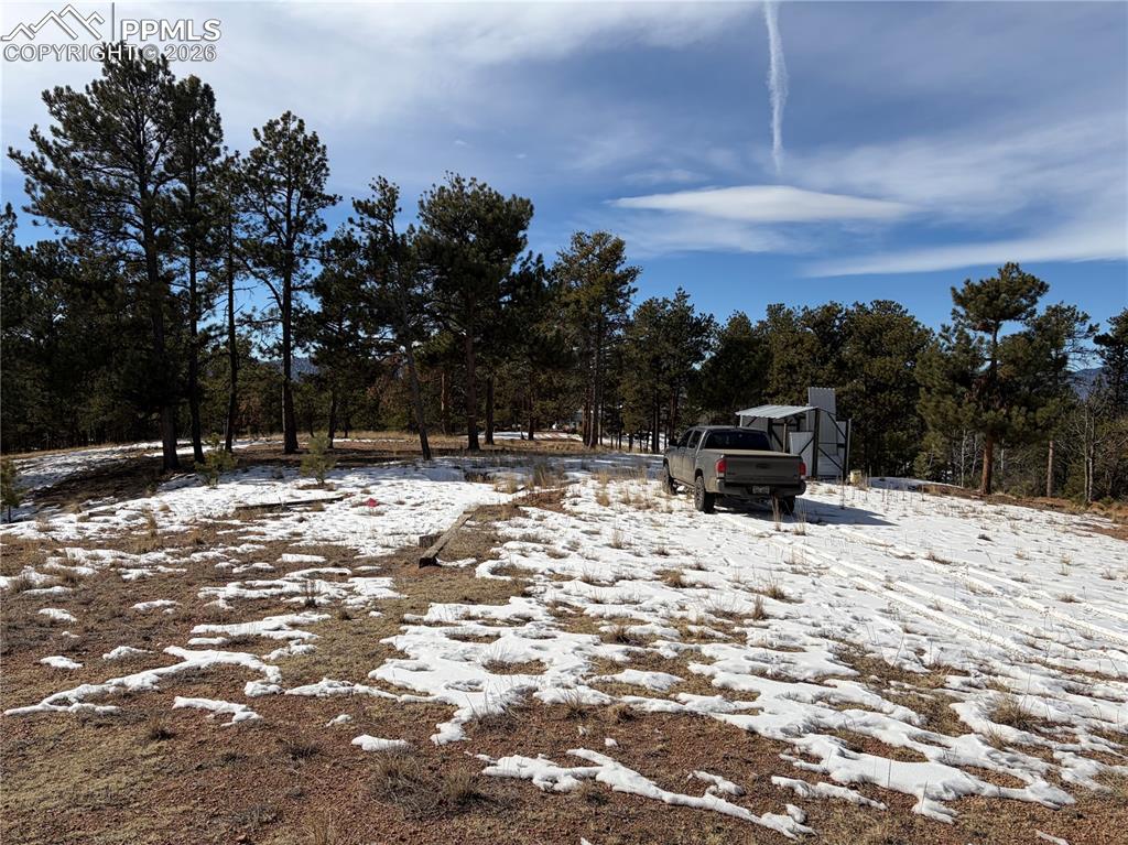 Image 14 of 20: Yard