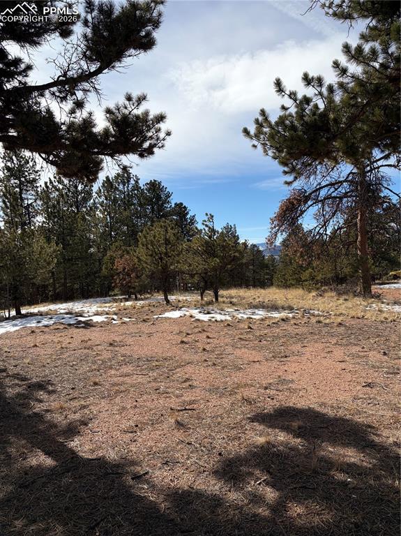 Image 15 of 20: Yard