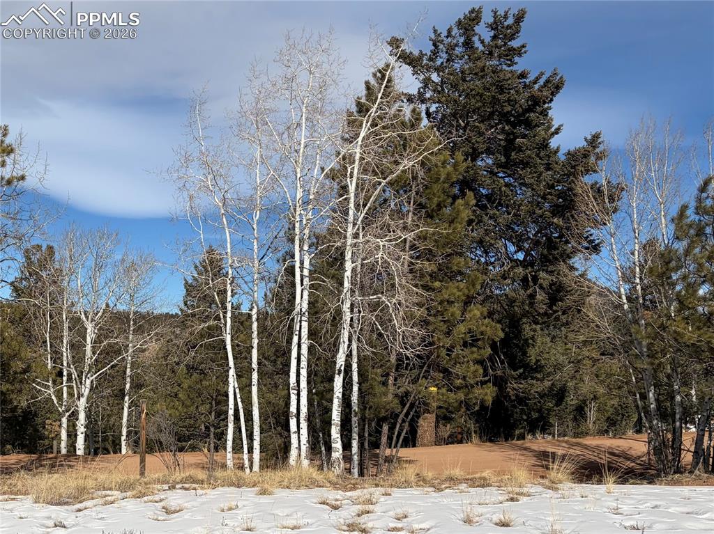 Image 4 of 20: Other