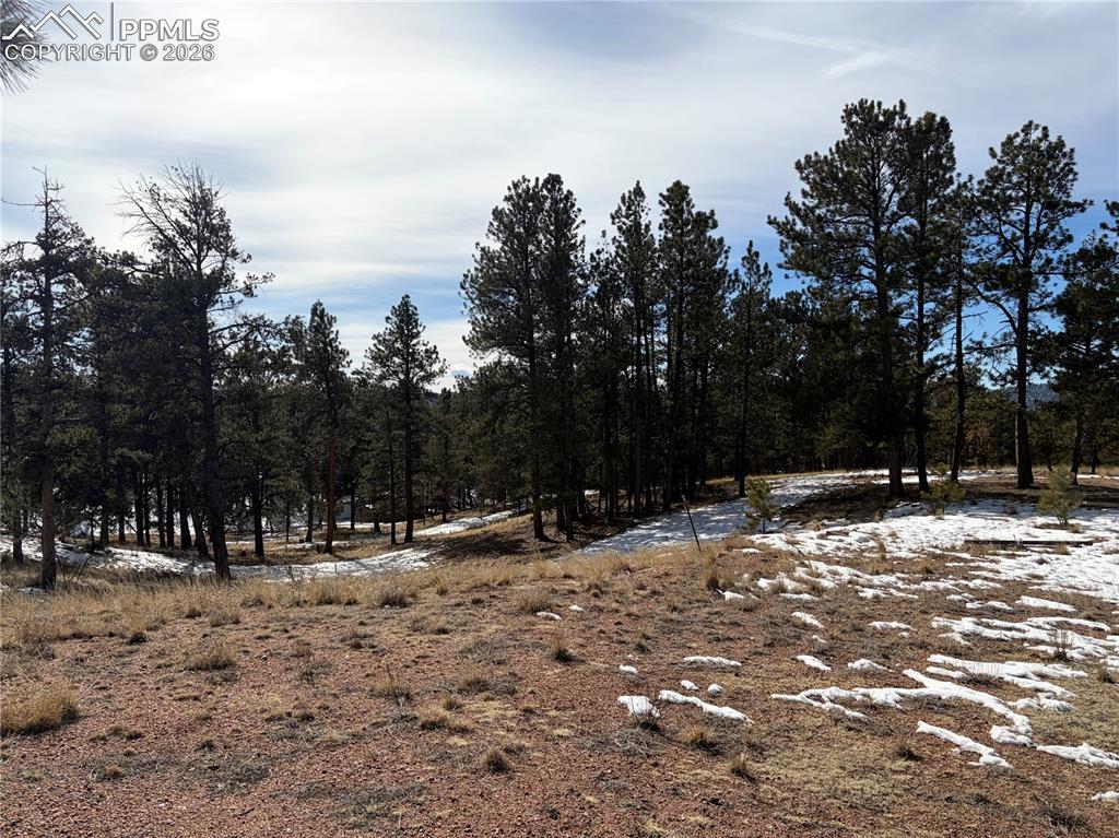 Image 8 of 20: Other