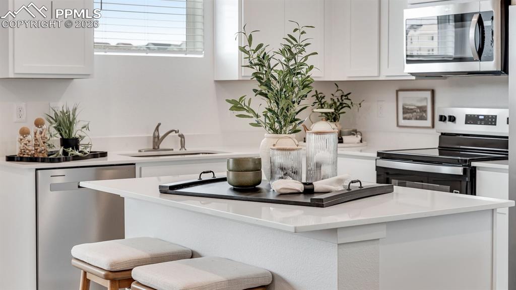 Image 16 of 47: No Description Available