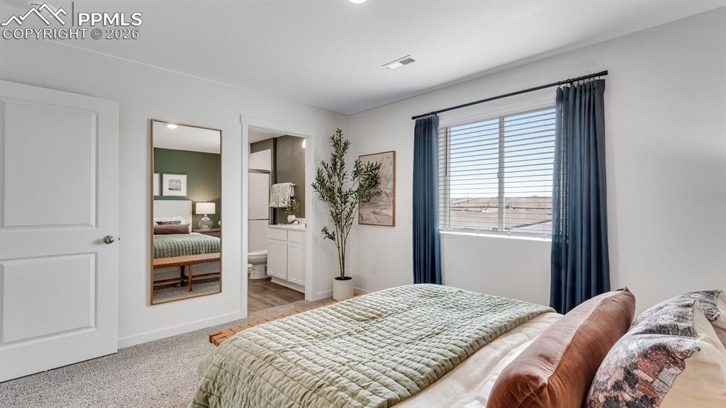 Image 41 of 47: No Description Available