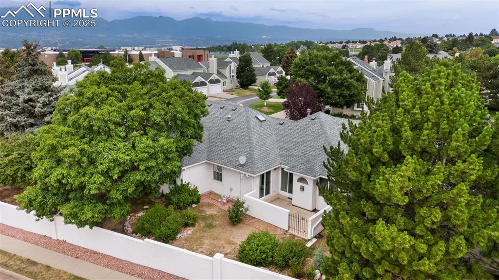 Image 40 of 48: Mature Trees!