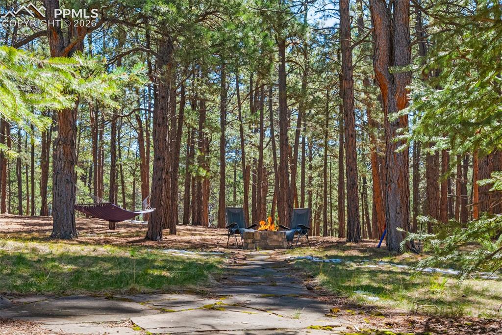 Image 44 of 50: Yard