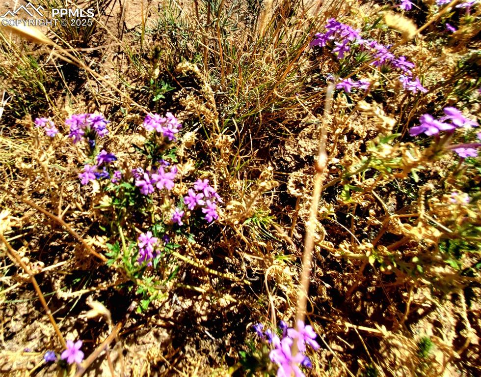 Image 16 of 27: Other