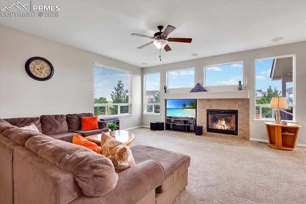 Image 9 of 30: Carpeted living area featuring a fireplace, healthy amount of natural light