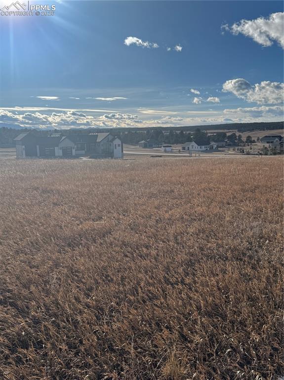 Image 11 of 20: View
