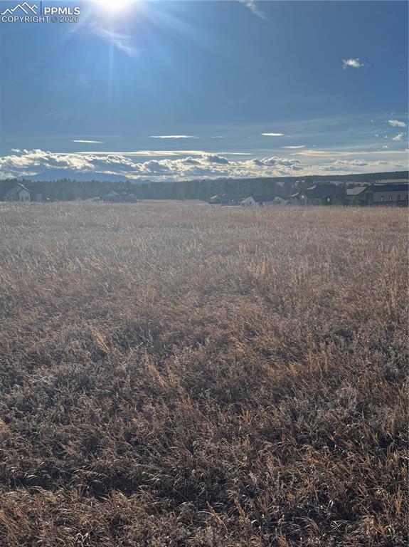 Image 15 of 20: View