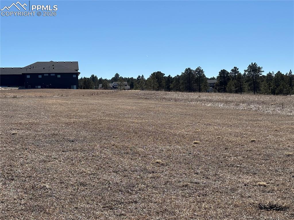 Image 19 of 20: Yard